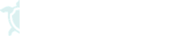ConnectSecure